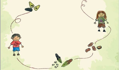 Potatoes, Corn, Avocado